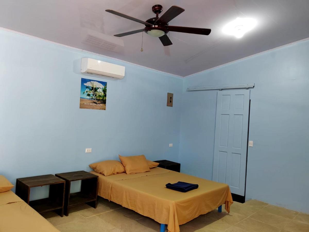 Hotel Catappa Jacó Εξωτερικό φωτογραφία