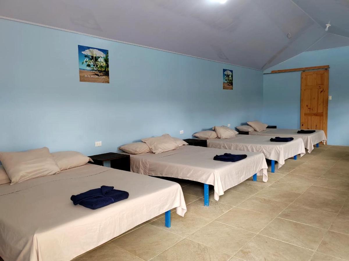 Hotel Catappa Jacó Εξωτερικό φωτογραφία